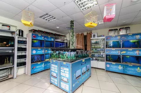 Помещение свободного назначения в Брянская область, Брянск ул. Романа ...