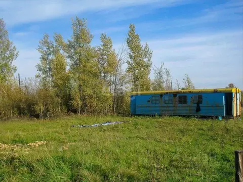 Участок в Ярославская область, Гаврилов-Ямский муниципальный округ, д. ...