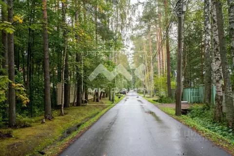 Участок в Санкт-Петербург пос. Комарово, Цветочная ул., 3 (13.5 сот.)