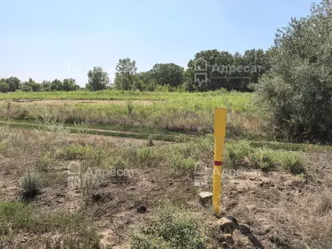Участок в Волгоградская область, Краснослободск Среднеахтубинский ...
