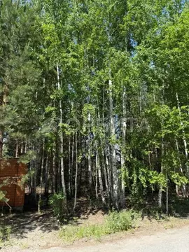 Участок в Тюменская область, Тюмень Три Сосны мкр, ул. Липовая (15.0 ...