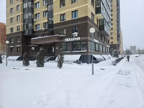 Помещение свободного назначения в Московская область, Электросталь ул. ...