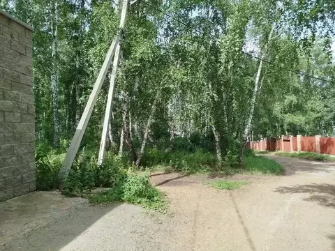 Участок в Башкортостан, Абзелиловский район, Ташбулатовский сельсовет, ...