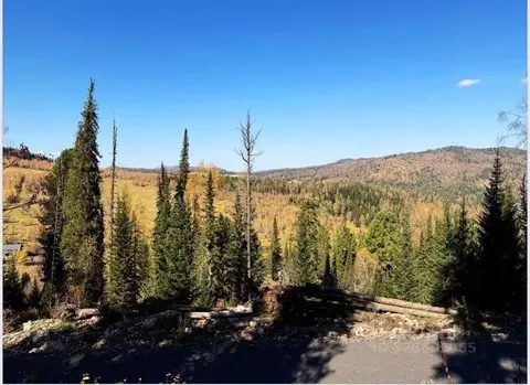 Участок в Алтай, Чемальский район, Элекмонарское с/пос, с. Элекмонар  ...