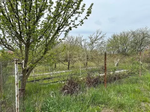 Участок в Белгородская область, Белгородский район, Комсомольское ...