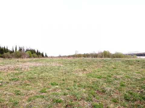 Участок в Алтай, Турочакский район, с. Шунарак (Осиновка)  (100.0 ...