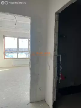 Квартира-студия: посёлок Молодёжный, 4 (24.7 м)