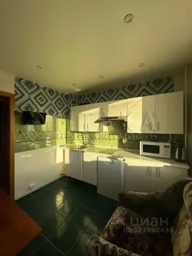 1-к кв. Санкт-Петербург просп. Пятилеток, 17К1 (33.0 м)