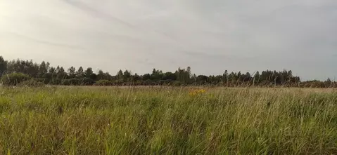 Участок в Московская область, Талдомский городской округ, д. Мякишево  ...