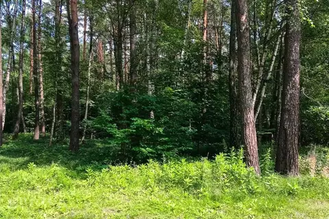 Участок в Московская область, Одинцовский городской округ, КП Любушкин ...
