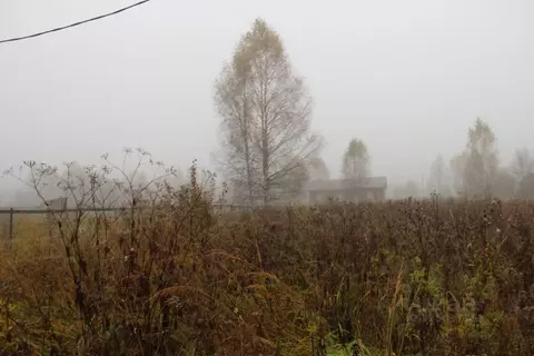 Участок в Московская область, Шаховская муниципальный округ, д. ...