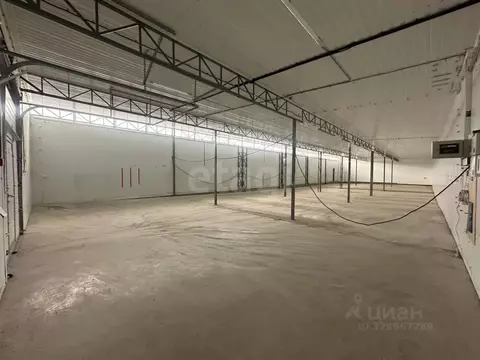 Помещение свободного назначения в Краснодарский край, Анапа ...