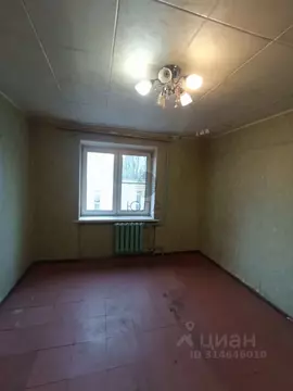 Комната Санкт-Петербург остров Канонерский, 11 (12.3 м)