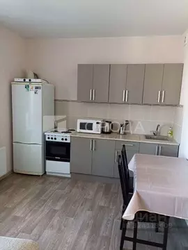 Студия Новосибирская область, Новосибирск ул. Бородина, 56 (33.0 м)