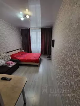 Студия Кировская область, Киров ул. Шинников, 9 (20.0 м)