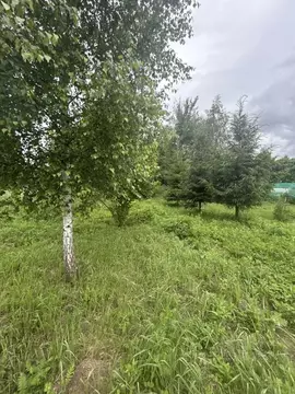 Участок в Московская область, Ступино городской округ, с. Бортниково  ...