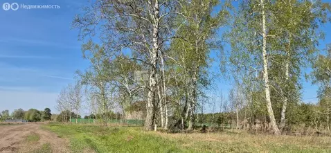 Участок в Калманский район, село Зимари (20 м)