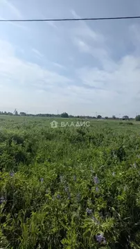 Участок в Марий Эл, Йошкар-Ола городской округ, д. Шоя-Кузнецово ул. ...