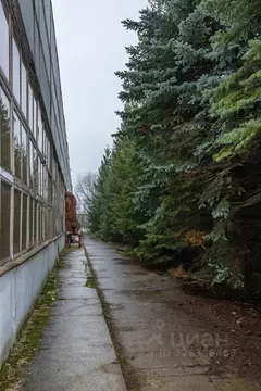 Производственное помещение в Московская область, Дмитров Промышленная ...