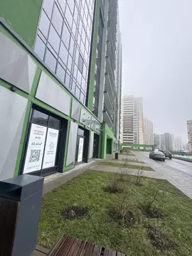 Студия Ленинградская область, Кудрово г. Всеволожский район, Заневское ...