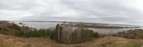 Участок в Рязанская область, Рыбновский район, Кузьминское с/пос, с. ...
