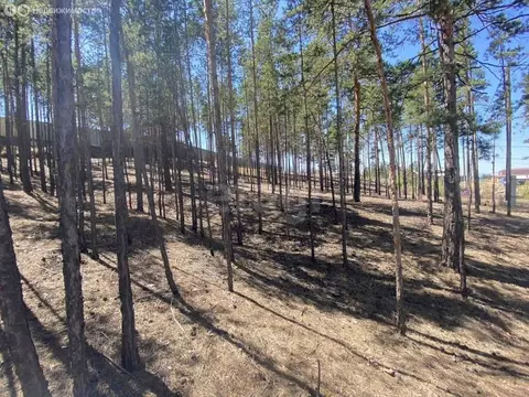Участок в Улан-Удэ, дачное некоммерческое товарищество Сотрудник (7.59 ...