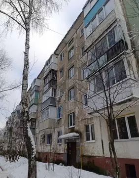 1-к кв. Московская область, Ногинск Богородский городской округ, пер. ...