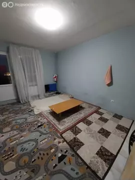 Квартира-студия: Шушары, Новгородский проспект, 2к1 (24.7 м)