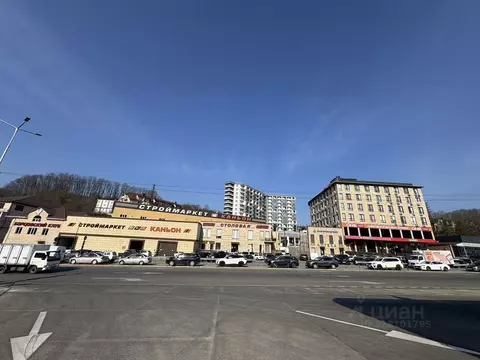Помещение свободного назначения в Краснодарский край, Сочи городской ...