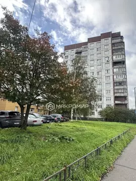 2-к кв. Санкт-Петербург Суздальский просп., 1к1 (46.7 м)