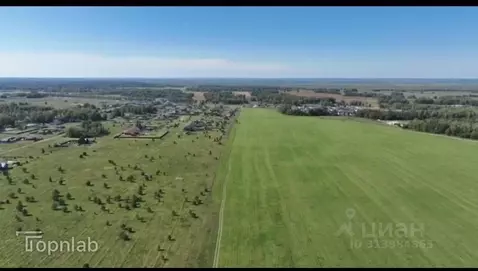 Участок в Алтайский край, Первомайский район, с. Фирсово ул. Лесная, ...