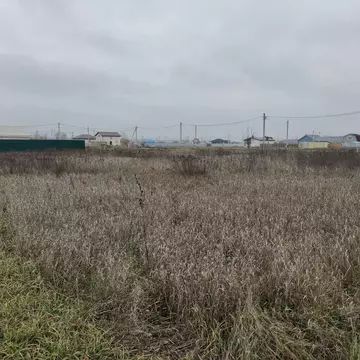 Участок в Ростовская область, Родионово-Несветайский район, ...