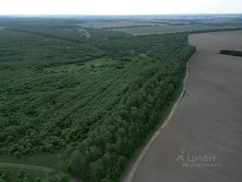 Участок в Тульская область, Заокский район, Демидовское с/пос, д. ...
