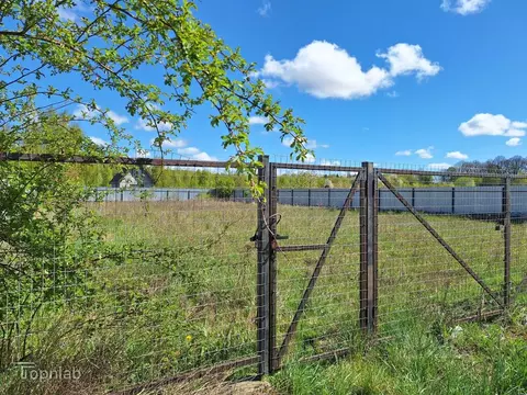 Участок в Калининградская область, Янтарный пгт ул. Малиновая (8.0 ...