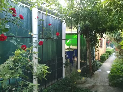 Дом в Севастополь Чайка-1 садовое товарищество, 221 (37 м)