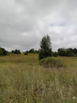 Участок в Тверская область, Конаковский муниципальный округ, д. Елдино ...