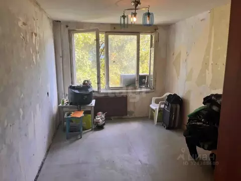 Комната Санкт-Петербург просп. Солидарности, 10К1 (8.5 м)