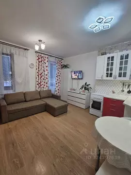 Студия Санкт-Петербург Усть-Славянка тер., просп. Советский, 34к2 ...