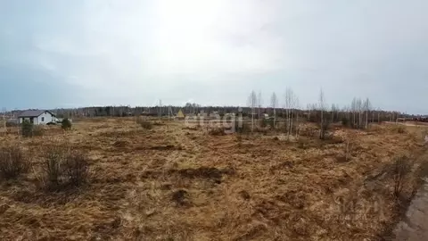 Участок в Тюменская область, Нижнетавдинский район, Геолог-2 СНТ  (8.0 ...