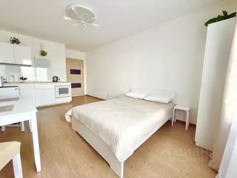 Студия Санкт-Петербург просп. Энергетиков, 11к5 (26.0 м)