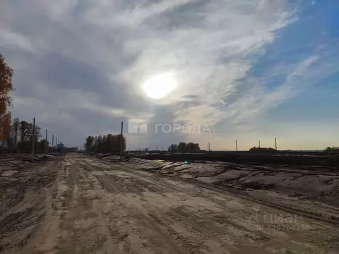 Участок в Алтайский край, Первомайский район, с. Фирсово, Микрорайон ...