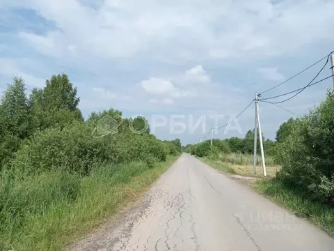 Участок в Тюменская область, Нижнетавдинский район, Сочинские СНТ  ...