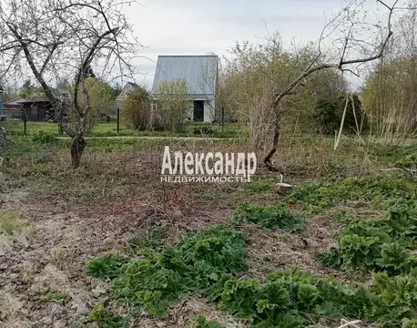 Участок в Ленинградская область, Лужский район, Скребловское с/пос, д. ...