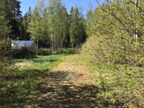 Участок в Ленинградская область, Выборгский район, Рощинское городское ...