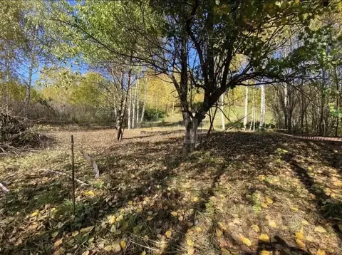 Участок в Алтай, Горно-Алтайск  (5.9 сот.)