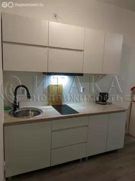 Квартира-студия: Бугры, Тихая улица, 5к3 (26.7 м)