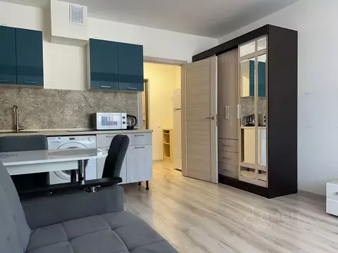 Студия Санкт-Петербург пос. Шушары, просп. Старорусский, 13к1 (23.5 м)