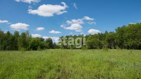 Участок в Свердловская область, Ревда муниципальный округ, с. Кунгурка ...