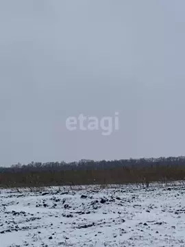 Участок в Белгородская область, Белгородский район, Головинское с/пос, ...