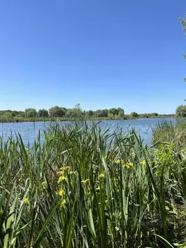 2-к кв. Самарская область, Красноярский район, Волжский рп ул. ...